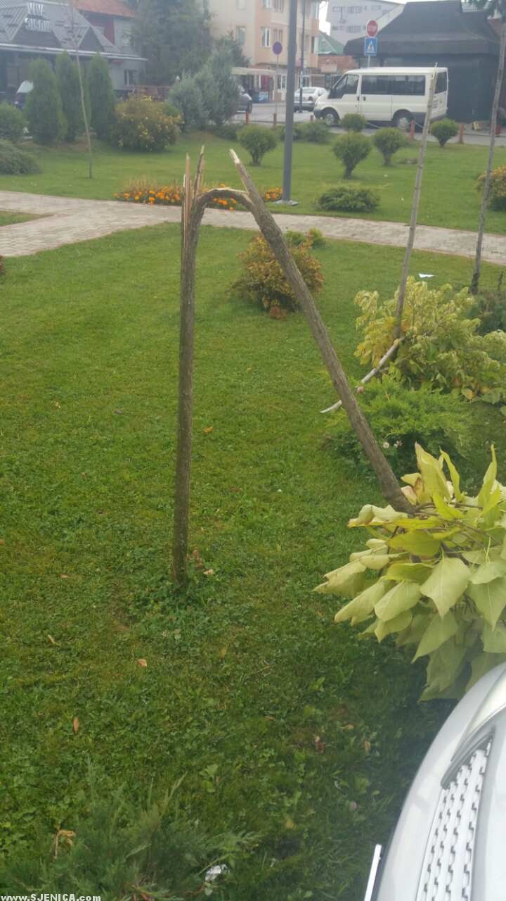 Baco Vandalizam 1 - Septembar 2017