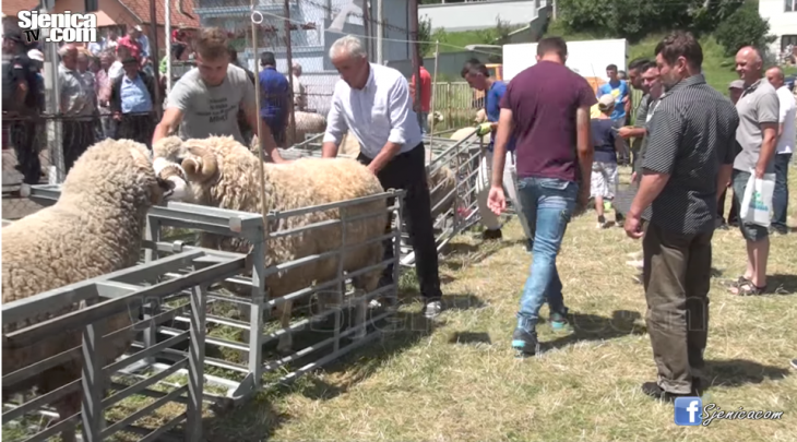 POLJOPRIVRREDNI SAJAM U SJENICI - Sjenica - Jun 2017