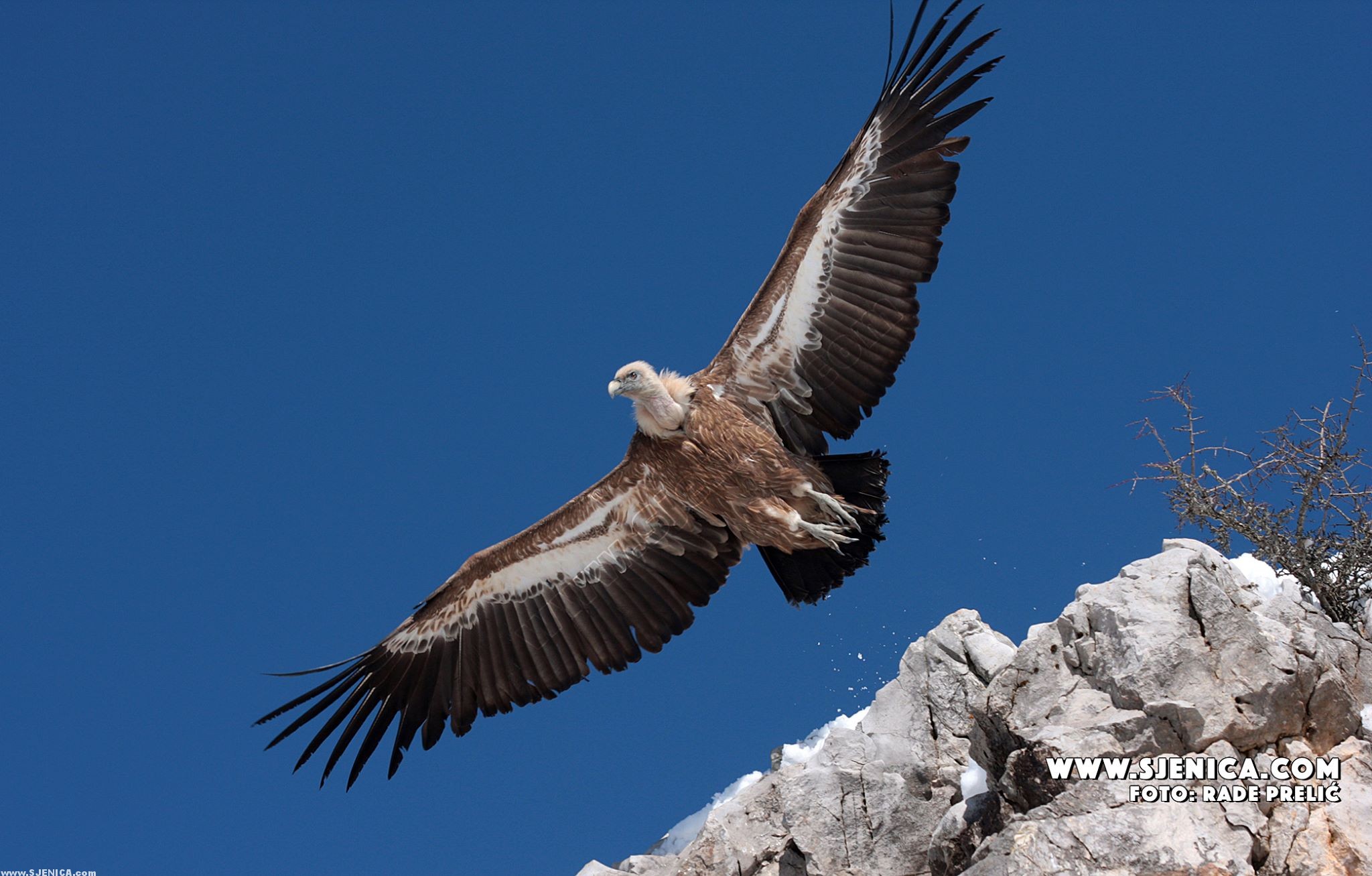 najveći mali grad na